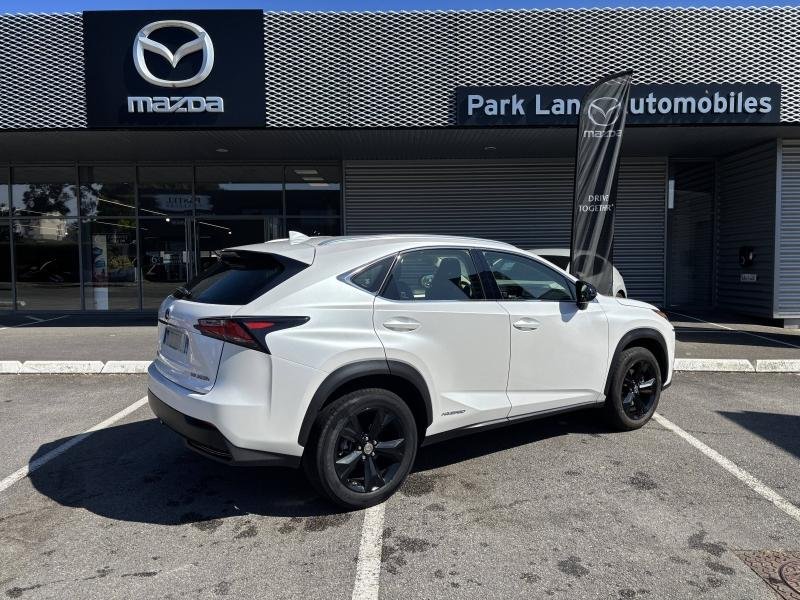 lexus - Visuel 2