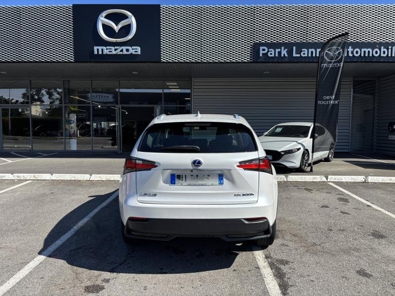 lexus - Visuel 3